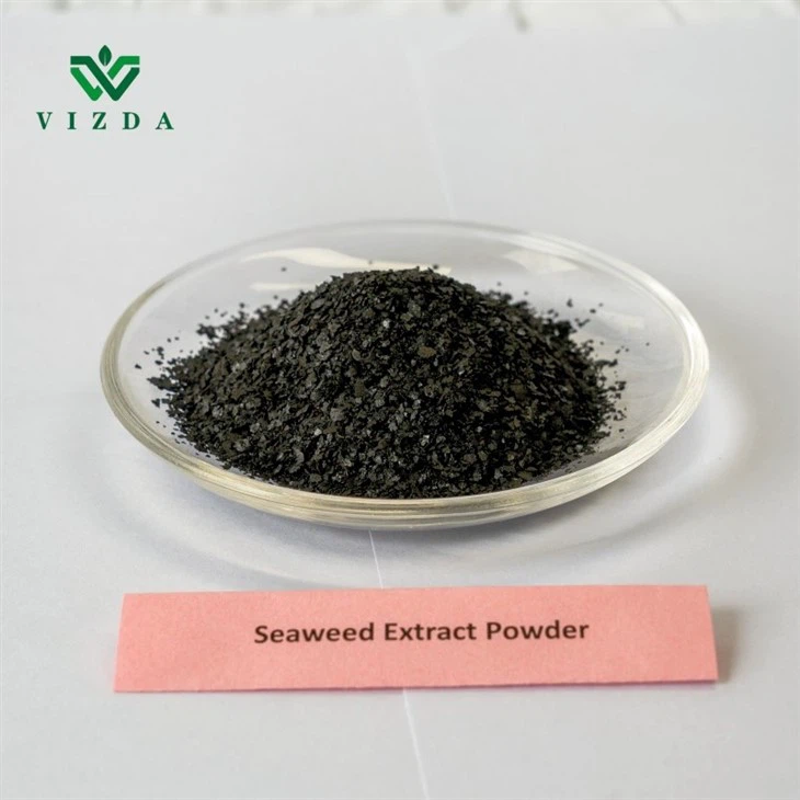 Organic Seaweed Extract Fertilizer