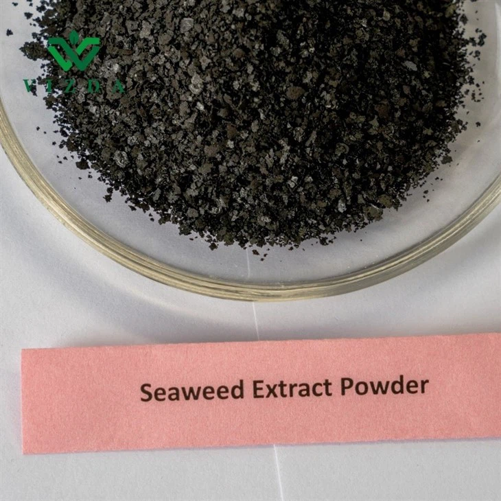 Seaweed Extract Black Flake
