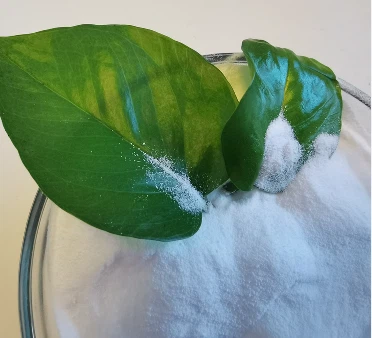 Mezőgazdasági kálium-nitrát kristályok vagy fehér por